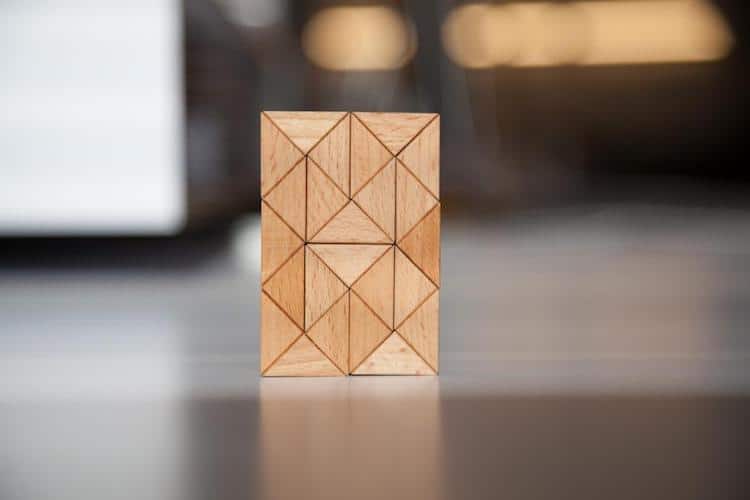 Wooden Puzzle Toy