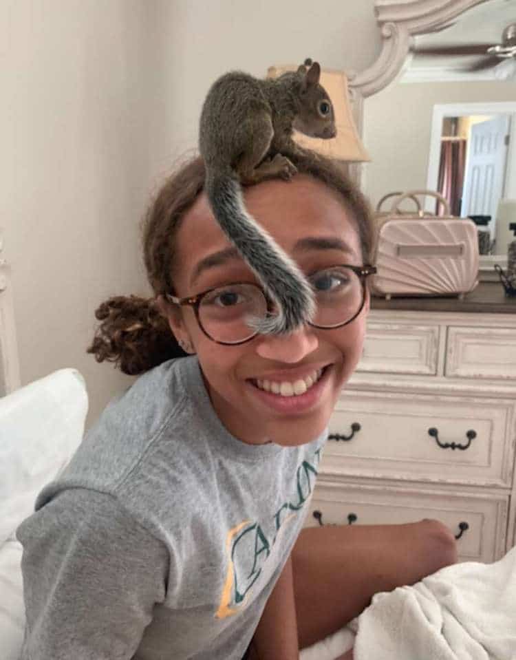 Teenager Bailee Villavaso Saves Orphaned Squirrels From Hurricane