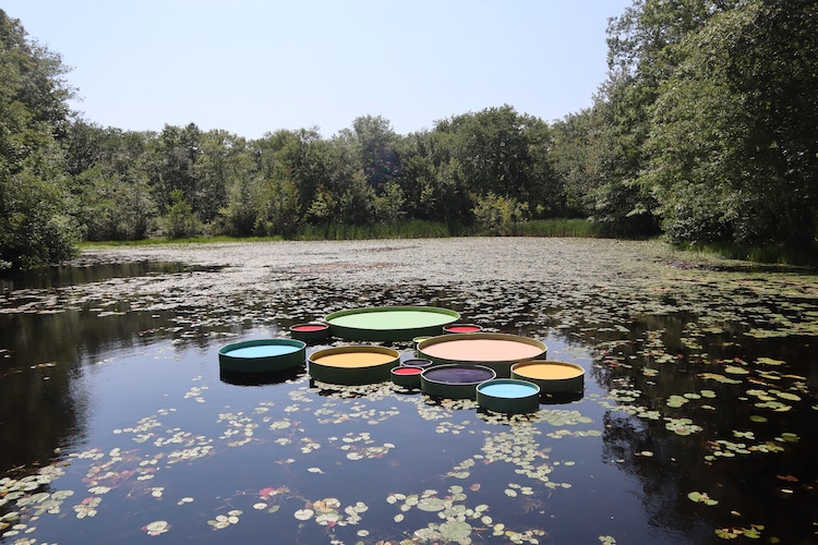 Giant Colorful Lily Pads Allow You to Float in the Middle of a Pond