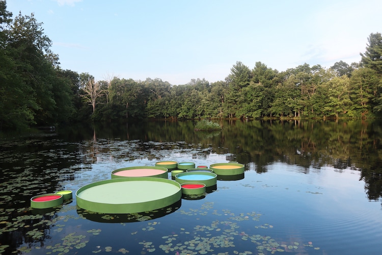 Giant Colorful Lily Pads Allow You to Float in the Middle of a Pond