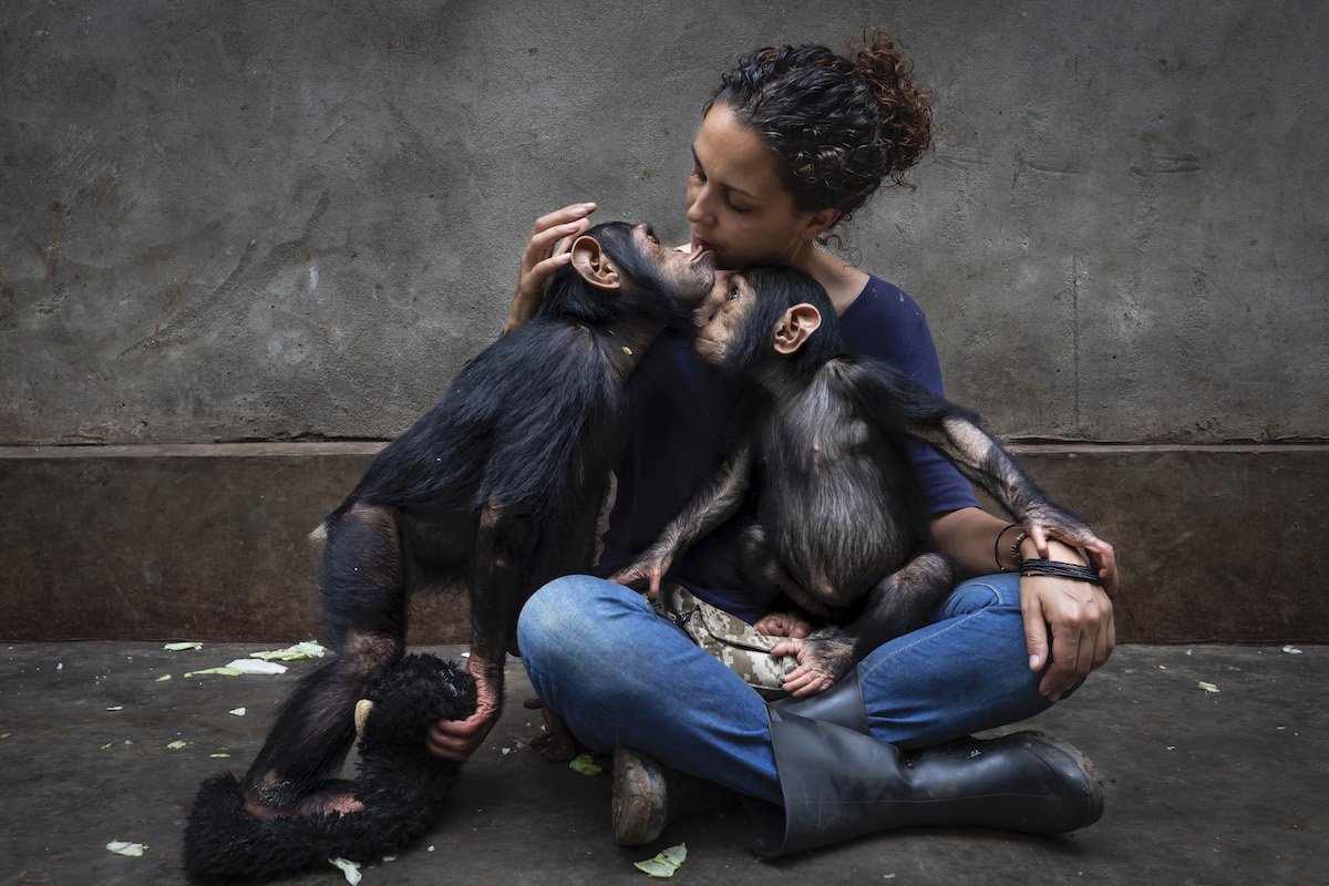 Femme assise avec un jeune chimpanzé