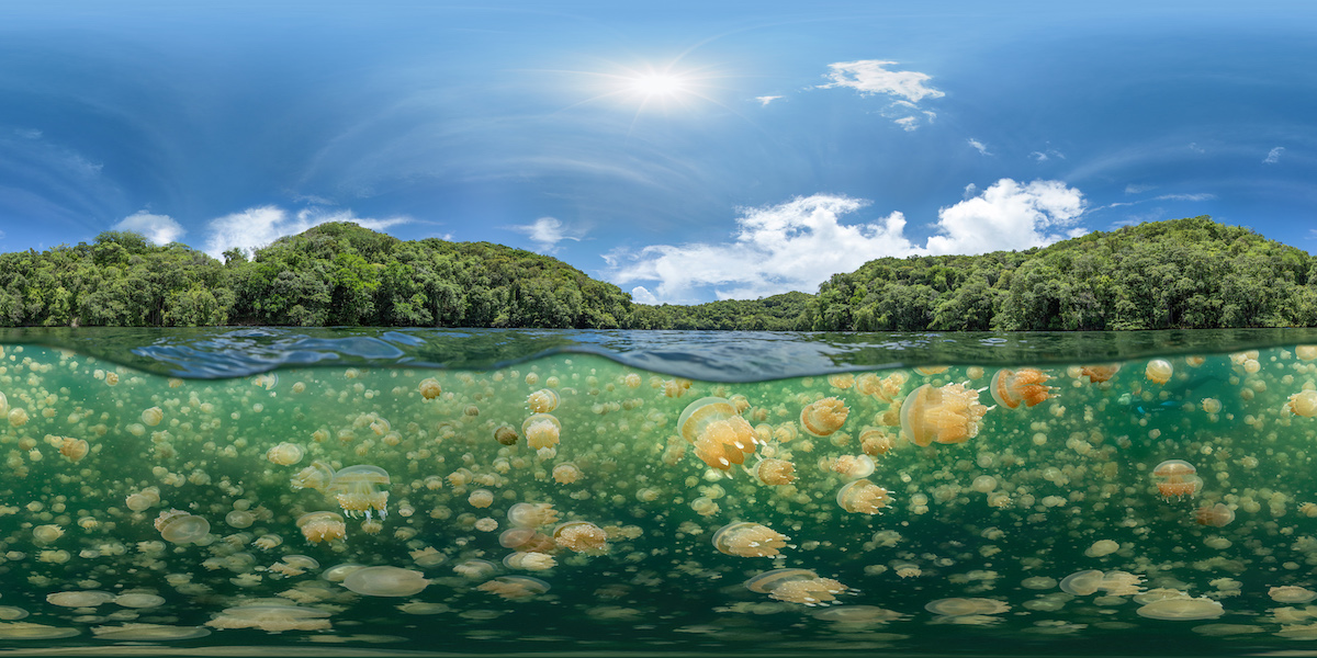 Foto de 360 grados del lago de las Medusas en Palau