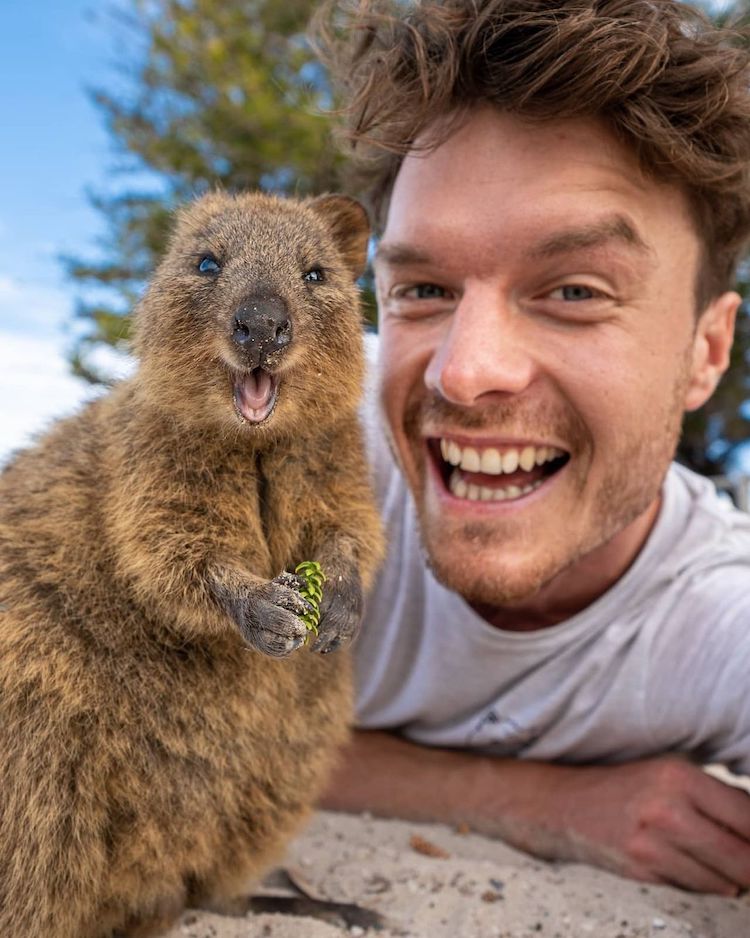 Allan Dixon Animal Selfie With Quokka