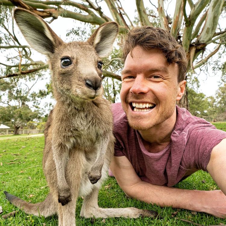 Allan Dixon Animal Selfie with Kangaroo