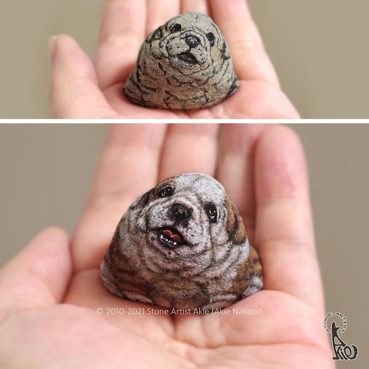 Animal Stone Painting by Akie Nakata