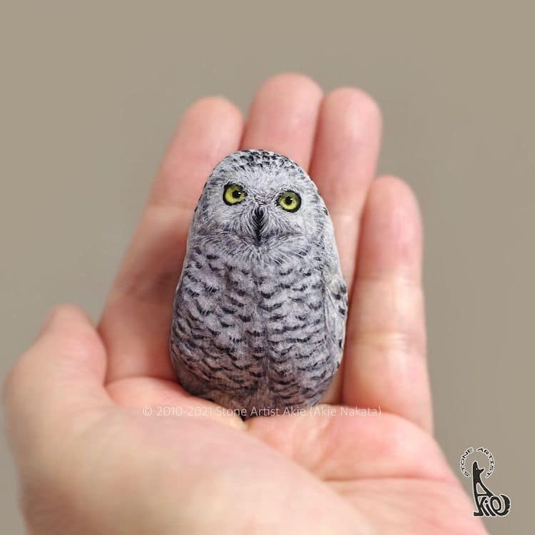 Artist Paints Rocks to Look Like Real Animals You Can Hold in Your Hand