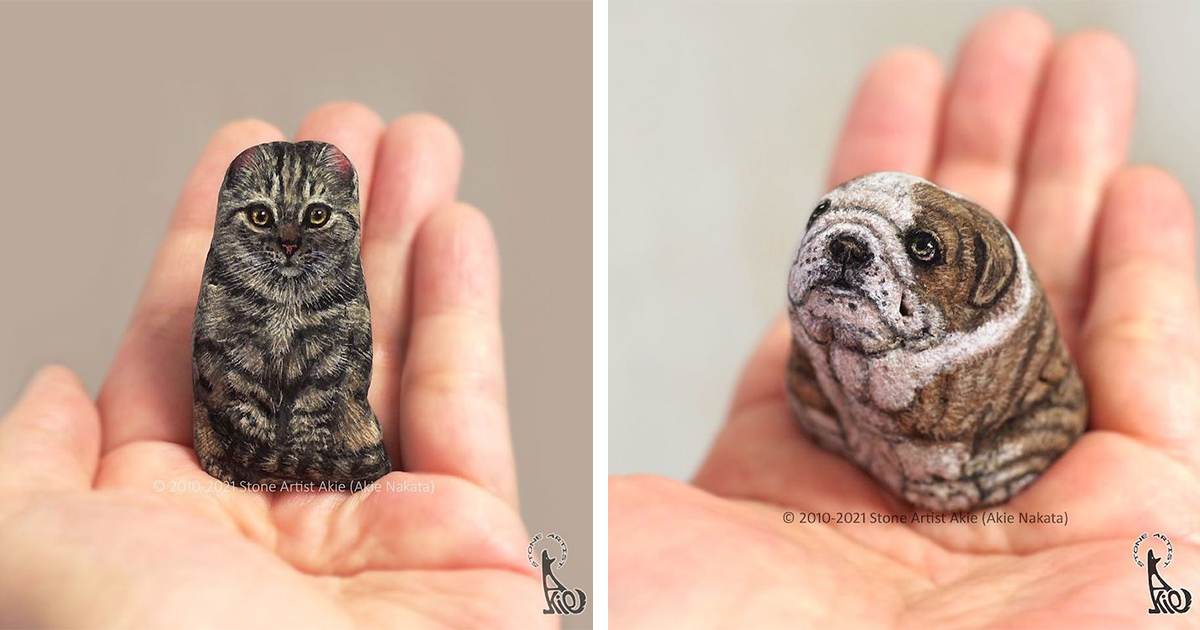 Artist Paints Rocks to Look Like Real Animals You Can Hold in Your Hand
