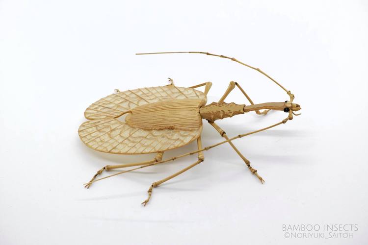 Bamboo Insects by Noriyuki Saitoh