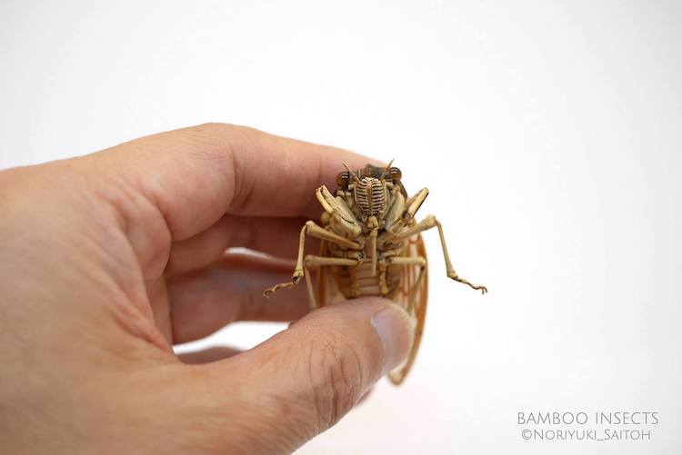 Insectes en Bambou Noriyuki Saitoh