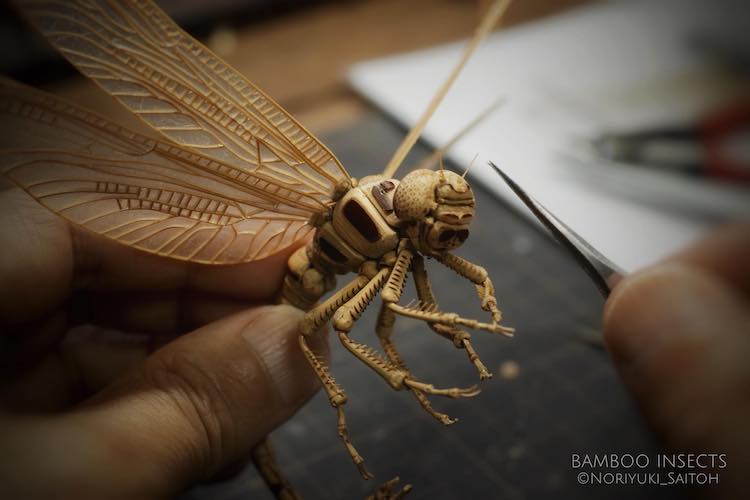Insectes en Bambou Noriyuki Saitoh