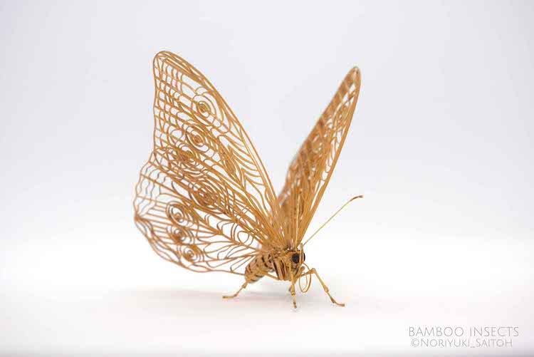 Bamboo Insects by Noriyuki Saitoh