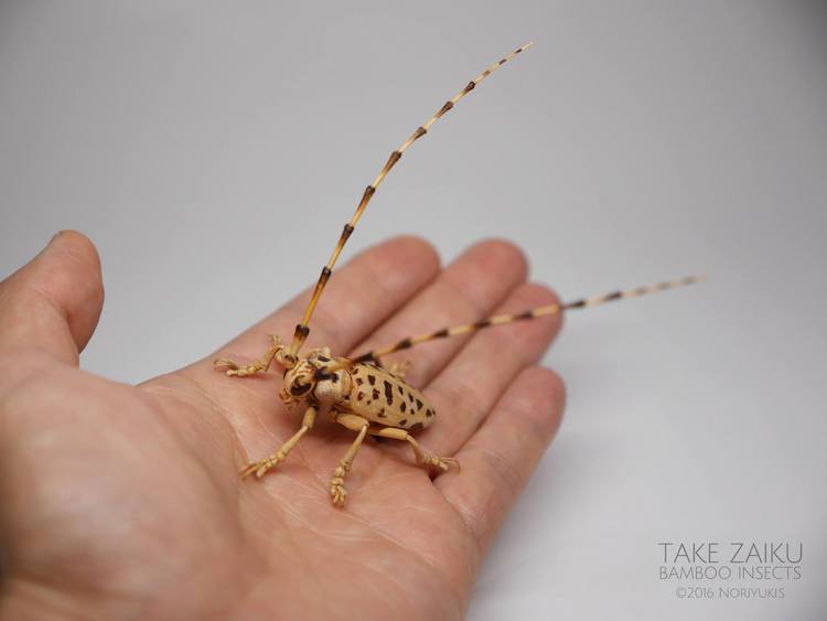 Bamboo Insects by Noriyuki Saitoh