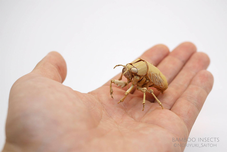 Insectes en Bambou Noriyuki Saitoh