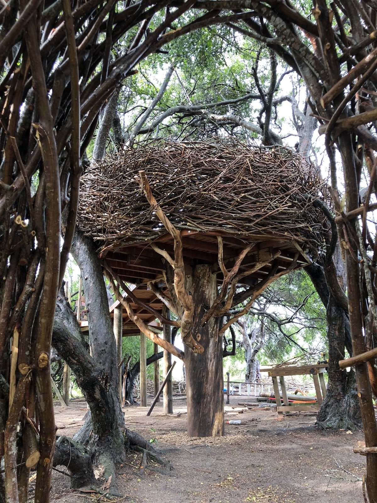 Giant Nest Sculptures by Charlie Baker