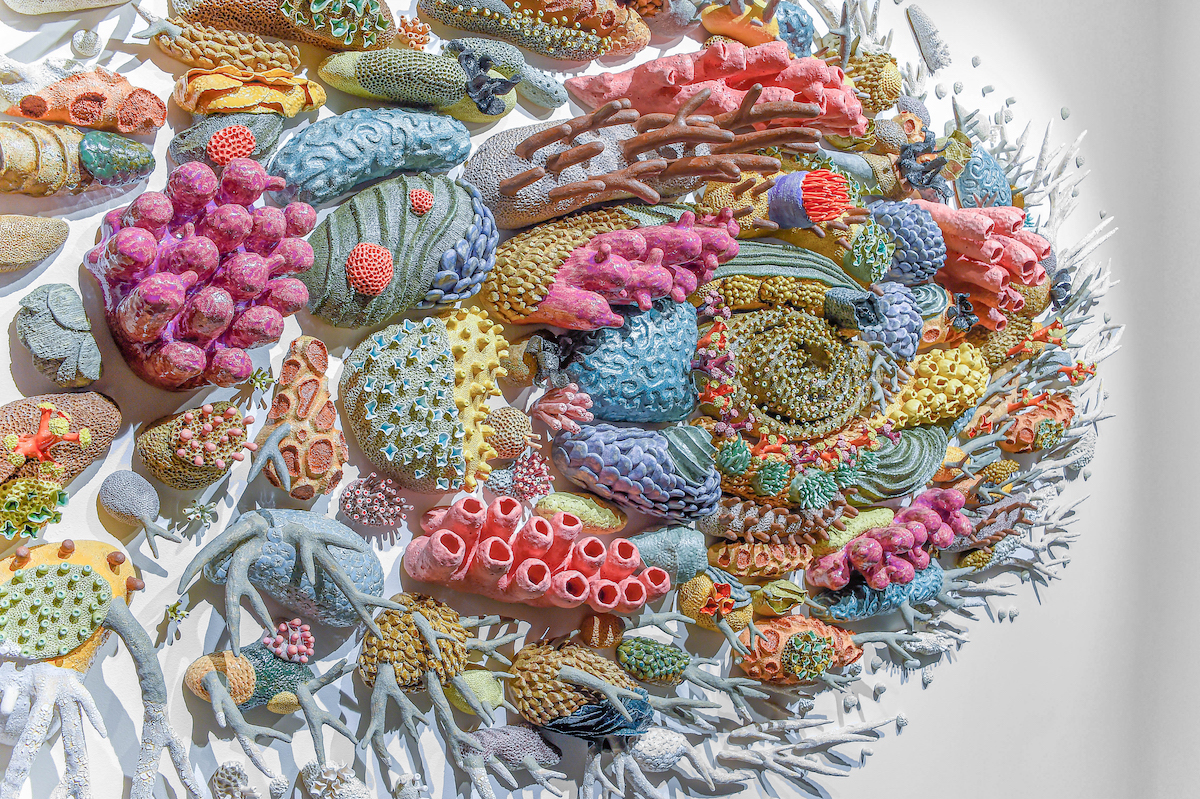 Swirling Ceramic Installations Raise Awareness For The Fragile Beauty Swirling Ceramic Installations Raise Awareness For The Fragile Beauty