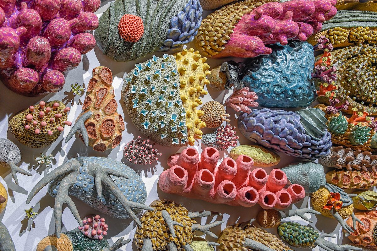 Coral Art by Courtney Mattison