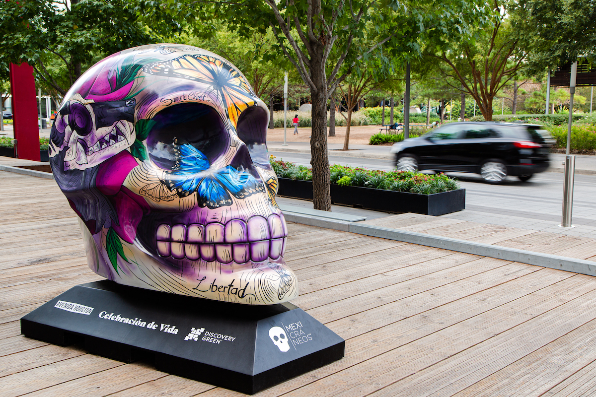 Giant Painted Skulls Line Houston's Discovery Green for Day of the Dead