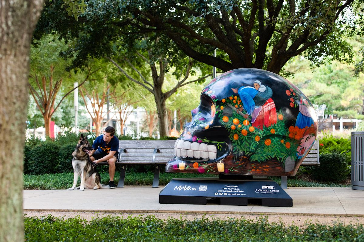 Día de los Muertos skull installation coming to Discovery Green in October  - ABC13 Houston