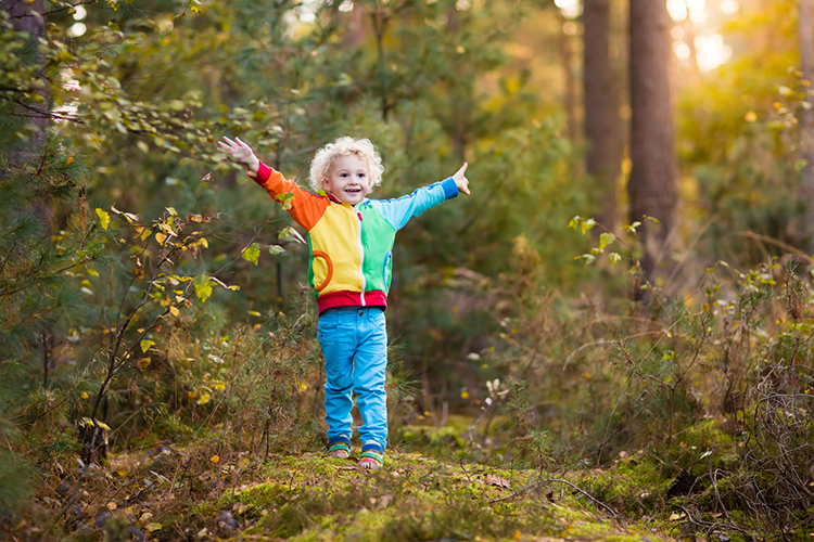 Finnish Daycares Built “Forests” and Boosted Children’s Immune System