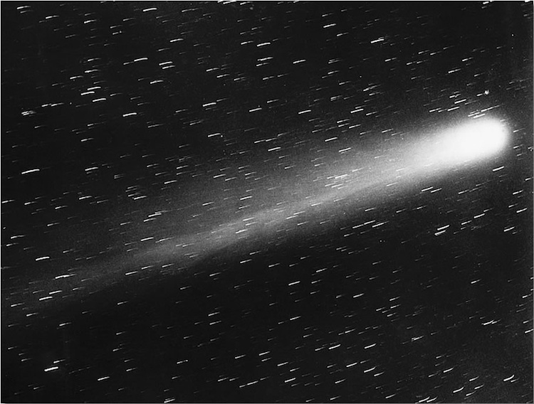 Halley's Comet Photograph