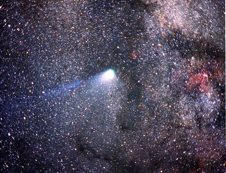 Photograph of Halley's Comet 1989