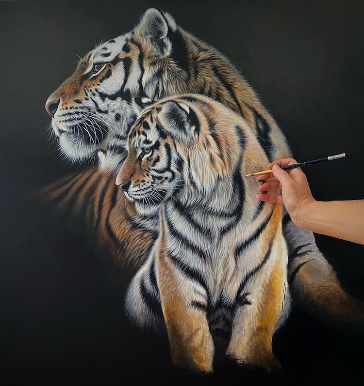 Striking Acrylic Paintings Celebrate the Beauty of Lions and Tigers