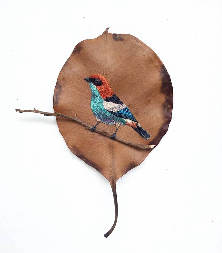 Embroidery on Leaves on Laura Dalla Vecchia