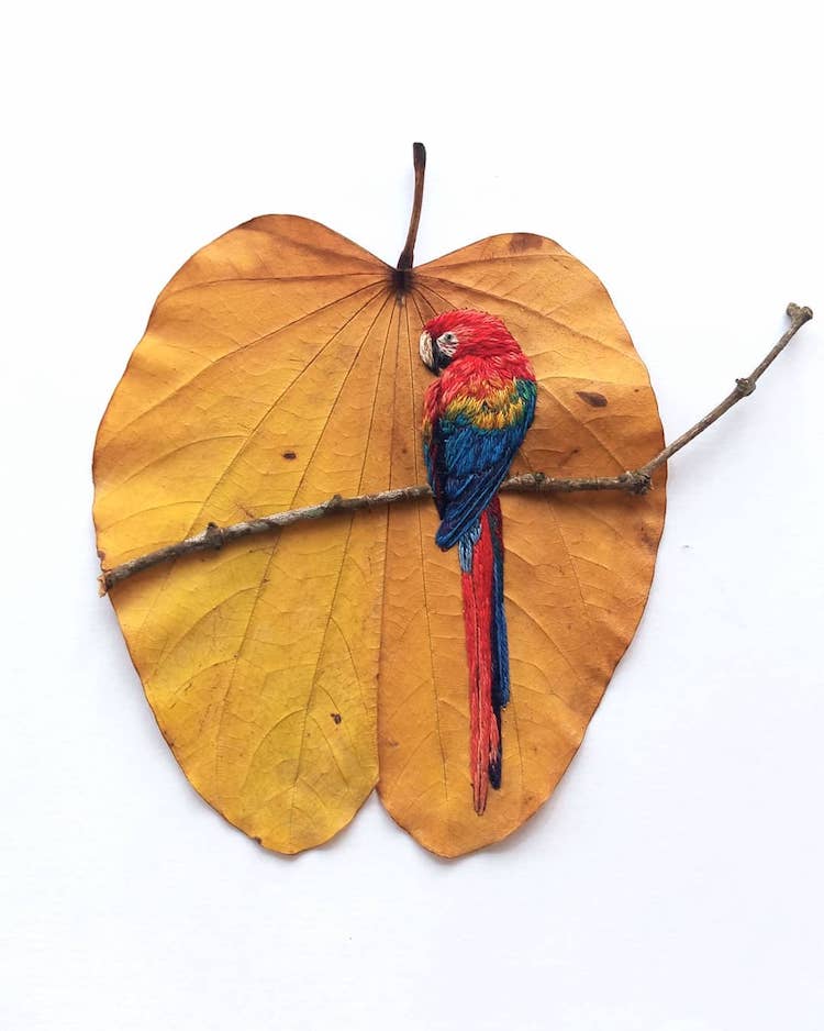 Embroidery on Leaves on Laura Dalla Vecchia