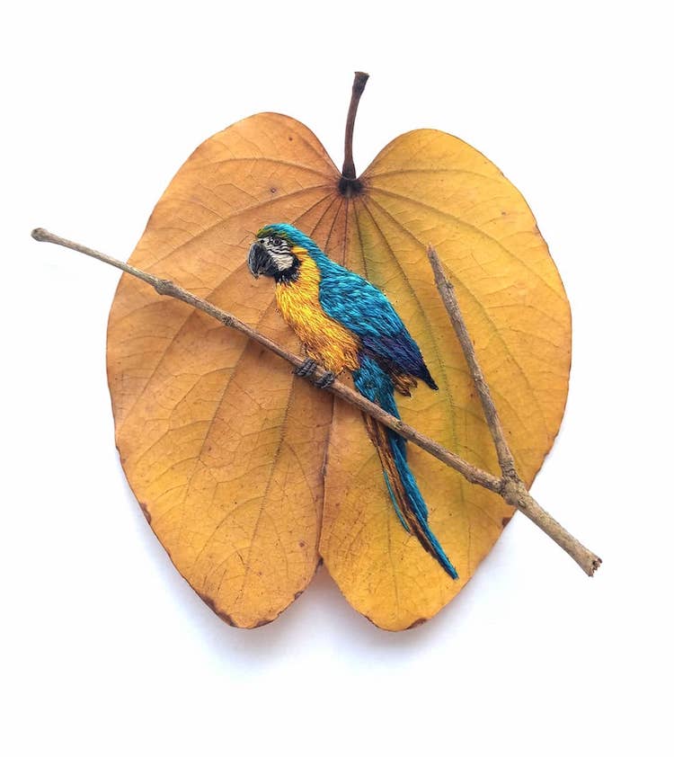 Embroidery on Leaves on Laura Dalla Vecchia