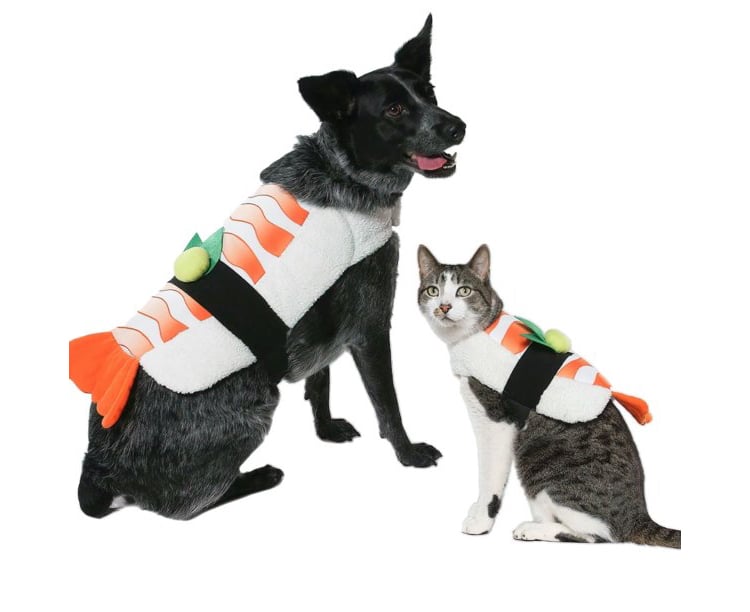 Sushi Pet Costume