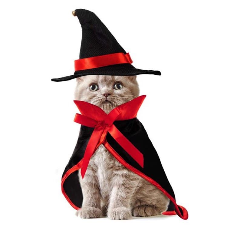 Two Piece Witch Cat Costume