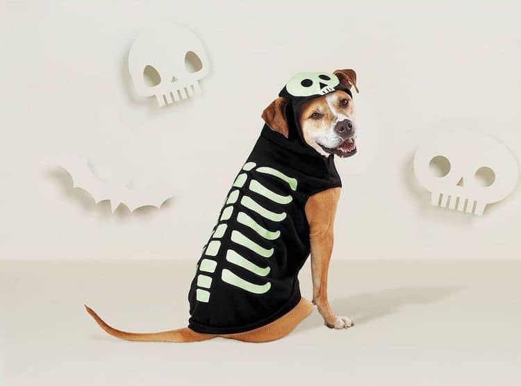 Skeleton Halloween Costume for Dogs and Cats