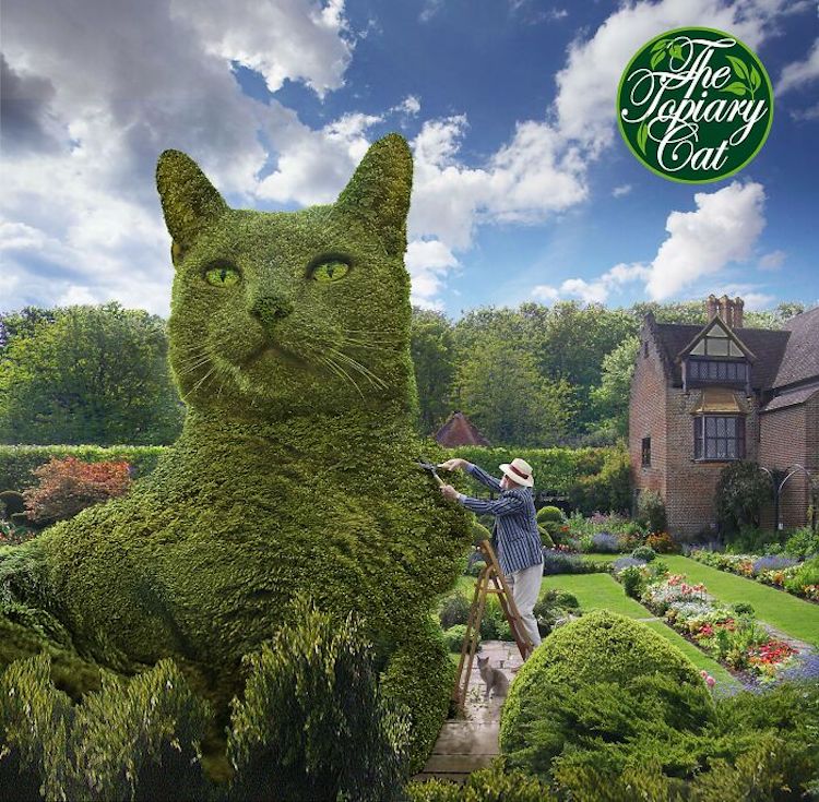 The Topiary Cat