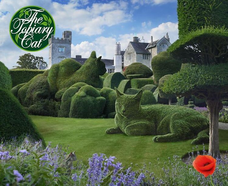 The Topiary Cat