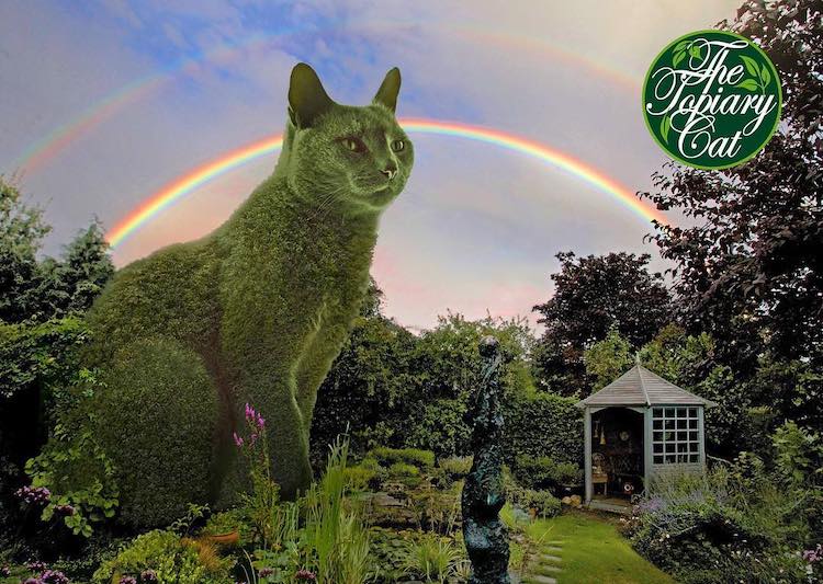 The Topiary Cat