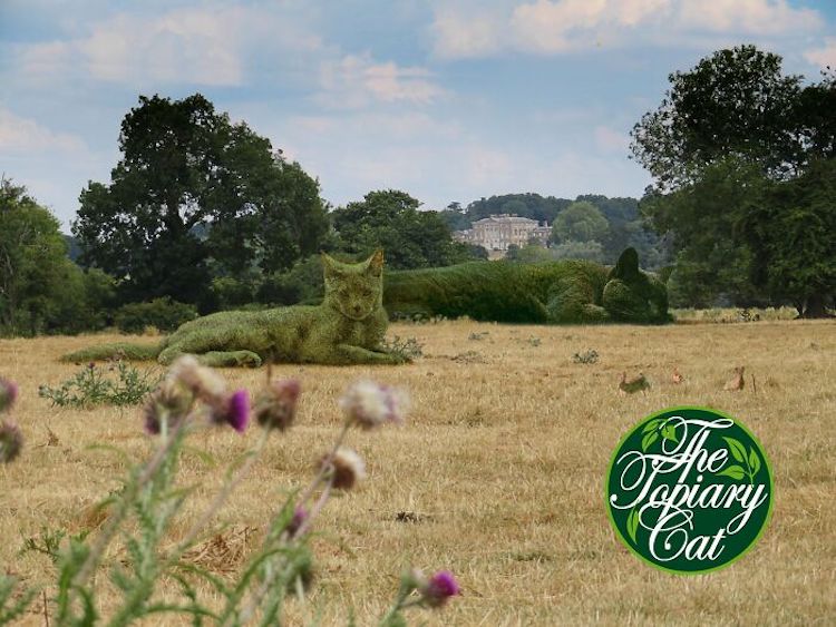 The Topiary Cat