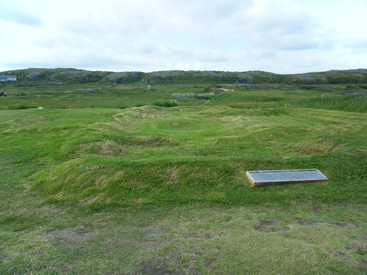 The Vikings Were Chopping Wood in North America Exactly 1,000 Years Ago, Study Finds