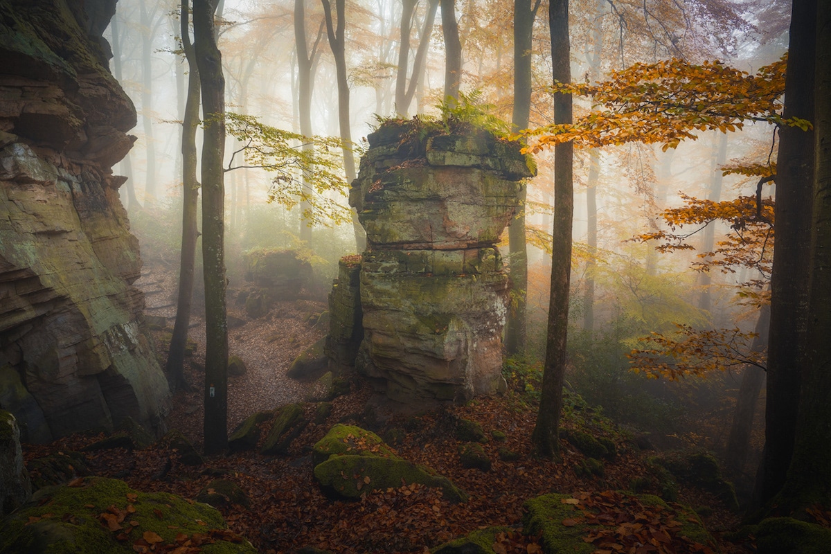 Cúmulo de piedras en un bosque otoñal