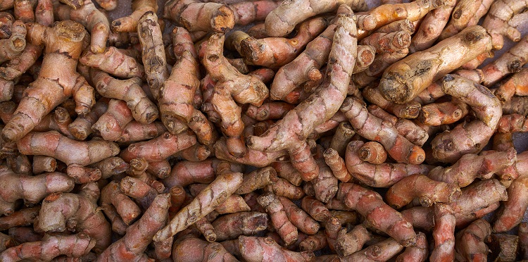 Curcuma 