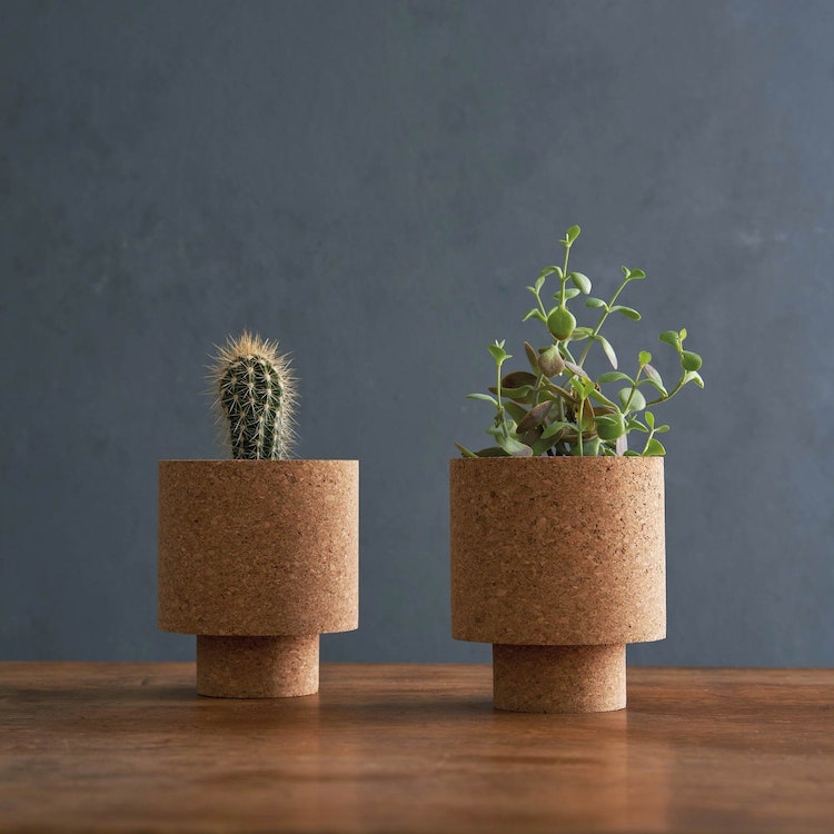 Cork Planters