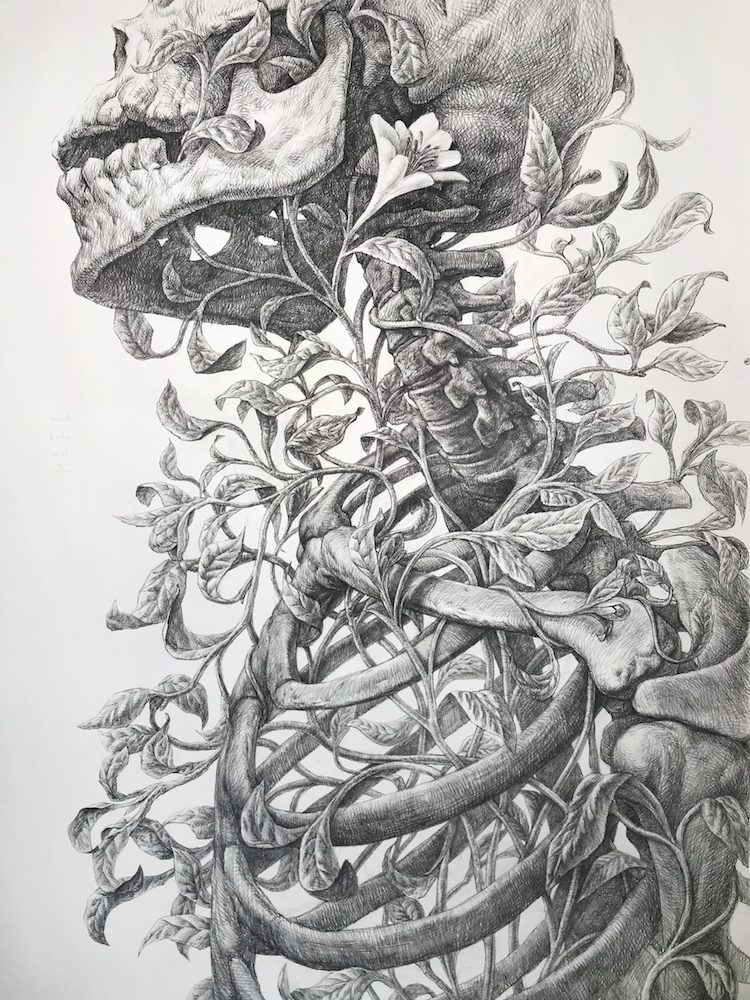 Skeleton Drawing by Guno Park