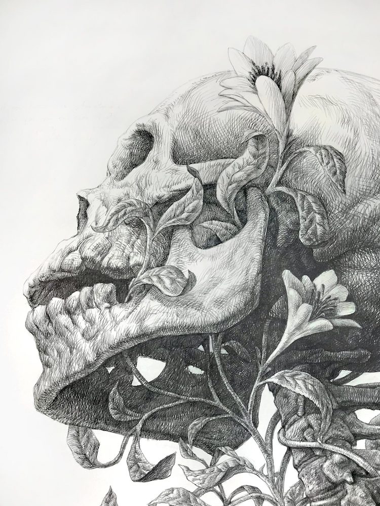 cool skeleton drawings