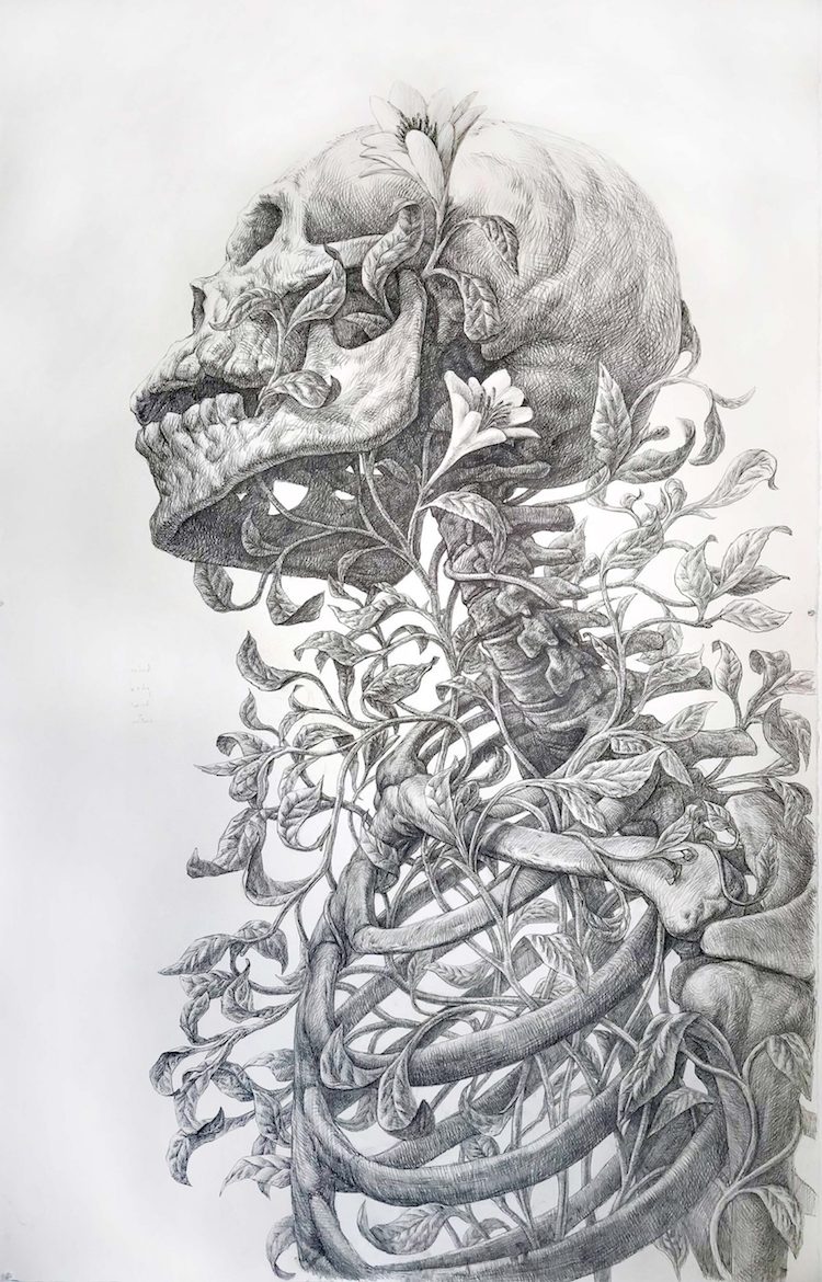Dibujo de un esqueleto por Guno Park