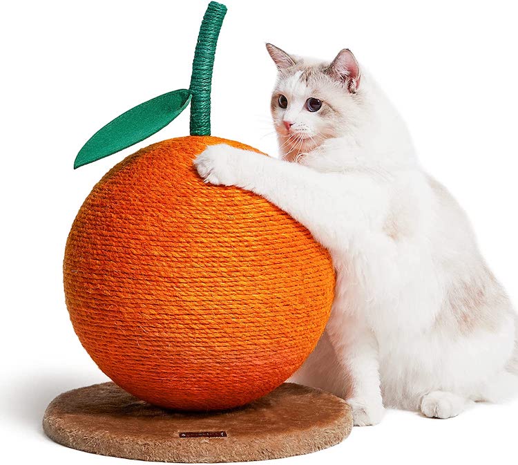 Cute Fruit Cat Scratcher