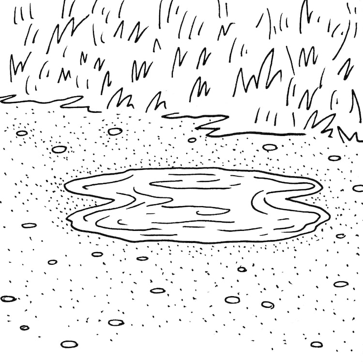 water puddle drawing