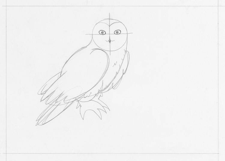 How to draw owl / LetsDrawIt
