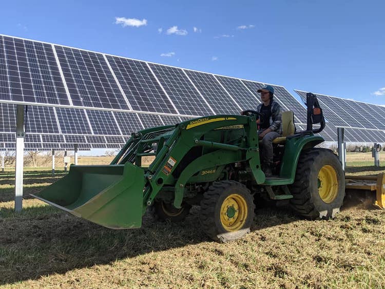 Jack's Solar Garden