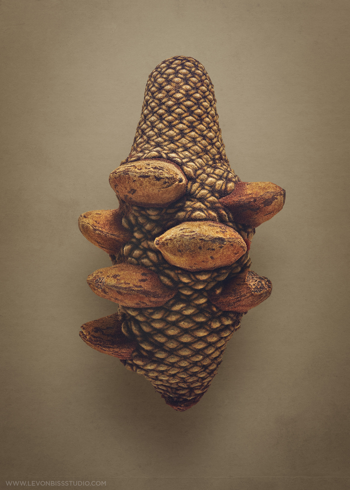 Dried Fruit Photographs