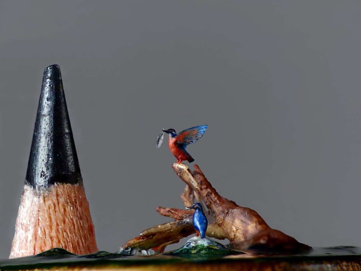 Art oiseaux par Marie Cohydon