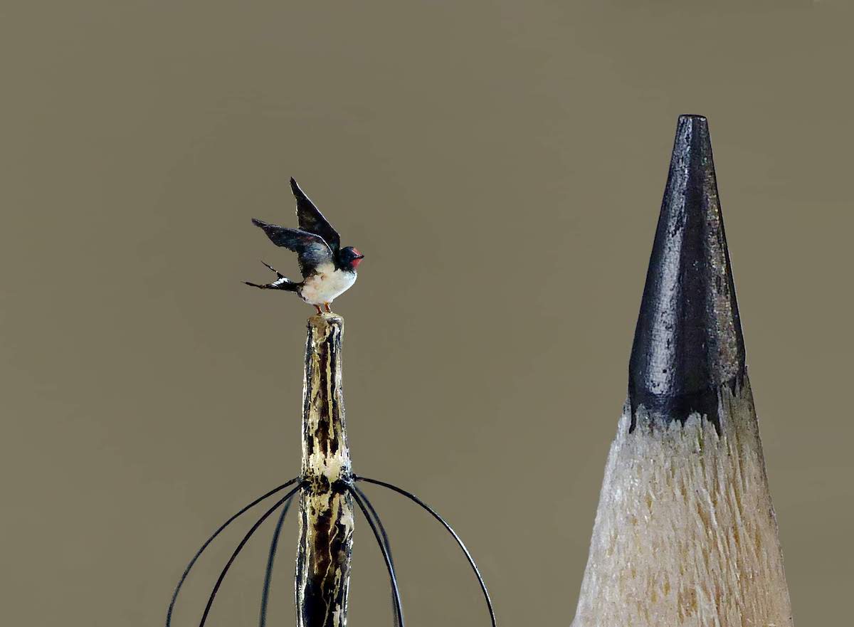 Micro Sculpture d'oiseaux par Marie Cohydon